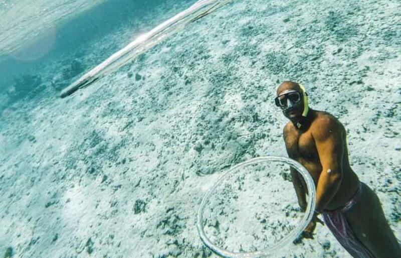 Bora Bora: Lagoon Snorkeling Half-Day Private Boat Tour - What Makes This Tour Special?
