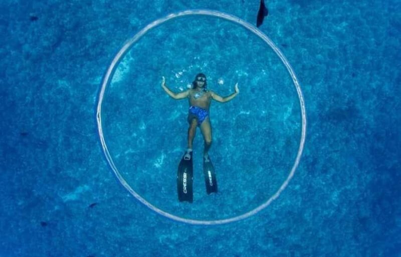 Bora Bora: Lagoon Snorkeling Half-Day Private Boat Tour - Transportation, Timing, and Practicalities