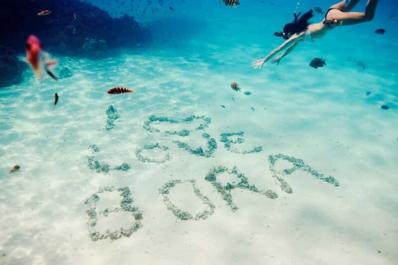 Bora Bora: Lagoon Tour and Snorkeling Experience - Guides and Group Experience