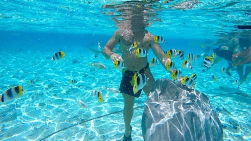 Bora Bora: Lagoon Tour and Snorkeling Experience - Why This Tour Stands Out