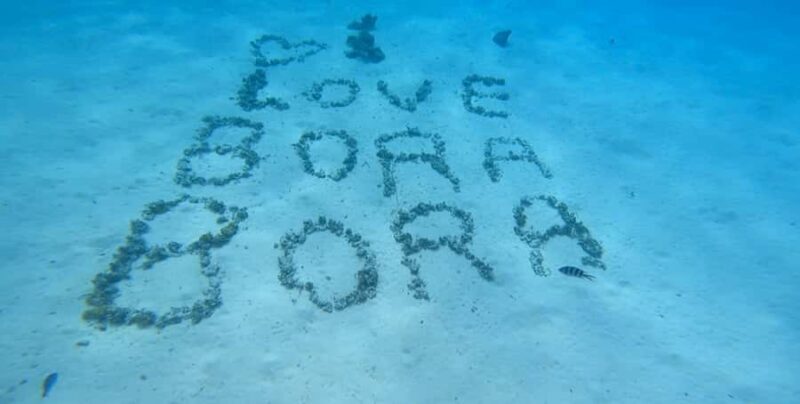 Bora Bora: Private 1/2 day lagoon safari tour - Key Points