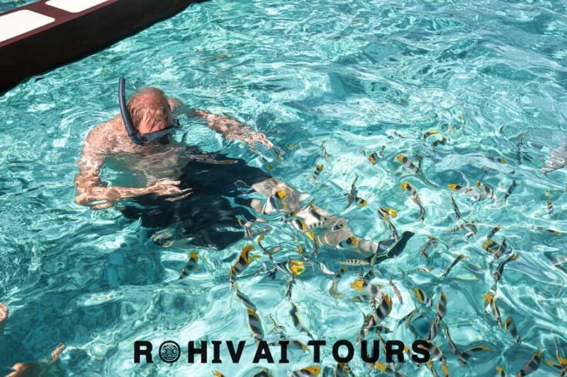 Bora Bora: Private 1/2 day lagoon safari tour - The Experience in Detail