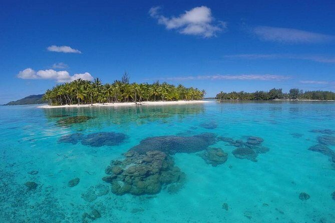 Bora Bora Private Lagoon Tours - Final Thoughts: Is This Tour Worth It?