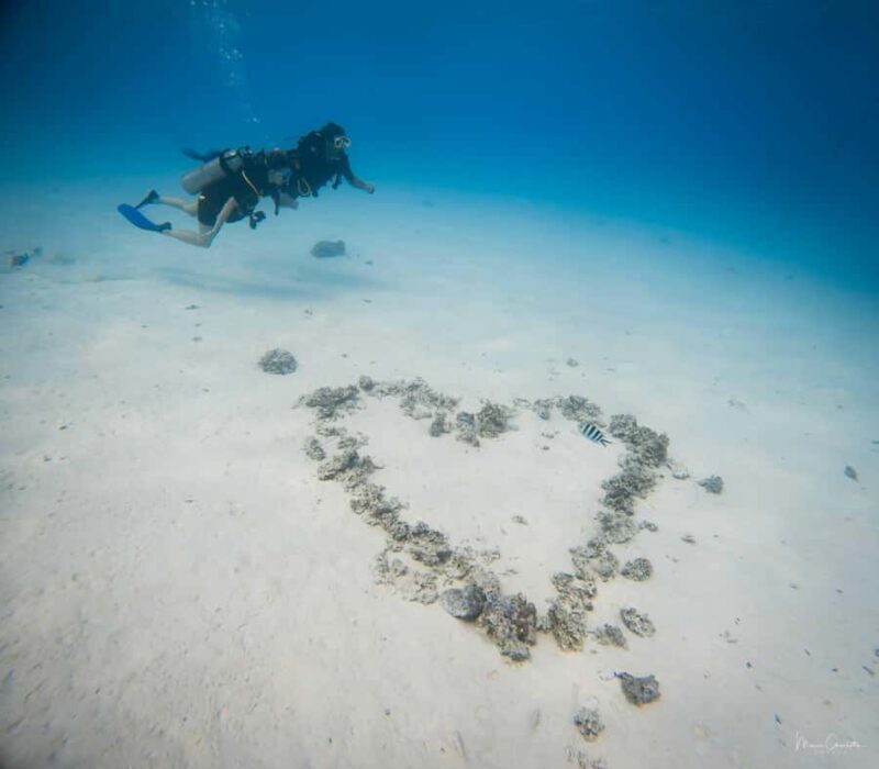 Bora Bora: Romantic Dive for Two People (Beginners) - Key Points