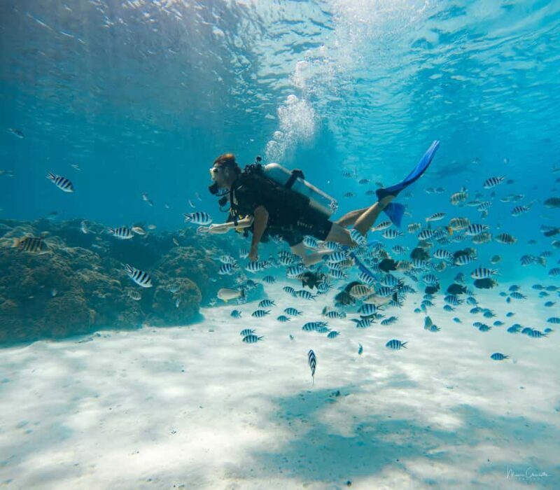 Bora Bora: Romantic Dive for Two People (Beginners) - Who Is This Tour Best For?