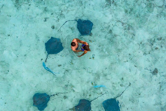 Bora Bora Snorkel Cruise by Polynesian Outrigger Canoe with BBQ Island Lunch - An Overview of What You Can Expect