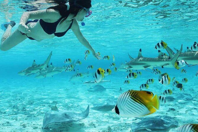 Bora Bora SNORKELING AND ATV QUADS TOURS COMBO - Exploring the Itinerary in Detail