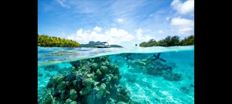 Bora Bora: Snorkeling and Fishing Tour with Lunch Option - A Deep Dive into the Tour Experience