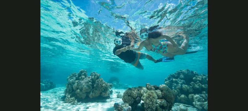 Bora Bora: Snorkeling and Fishing Tour with Lunch Option - The Sum Up