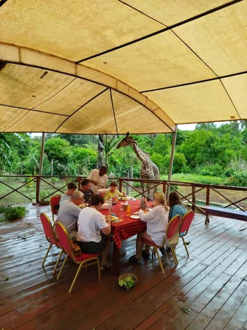 Borabora: Animal Park Guided and Bush Tour - A Thorough Breakdown of the Borabora Animal Park Guided and Bush Tour