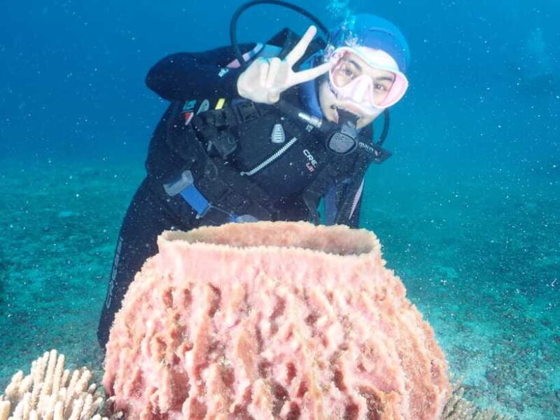 Boracay: 2-day Open Water PADI Diving Course - The Value Proposition