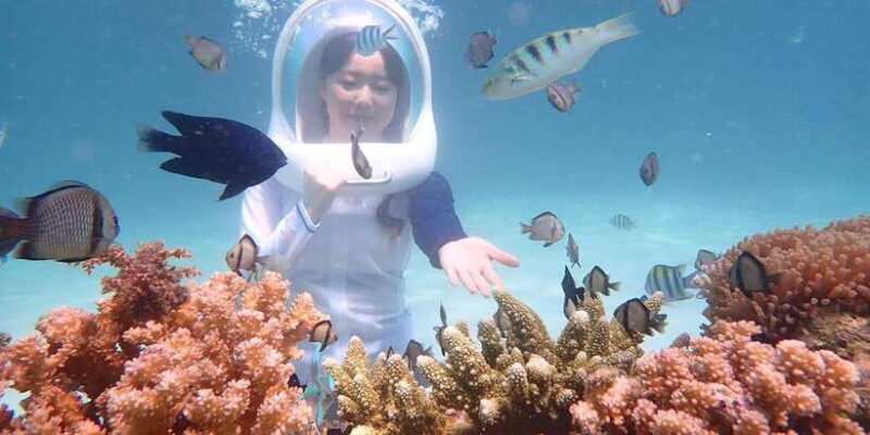 Boracay: Helmet Diving Experience with Photos and Videos - The Value and the Experience