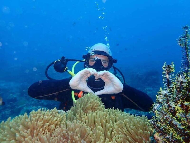 Boracay: Introduction to Scuba Diving Experience - Key Points