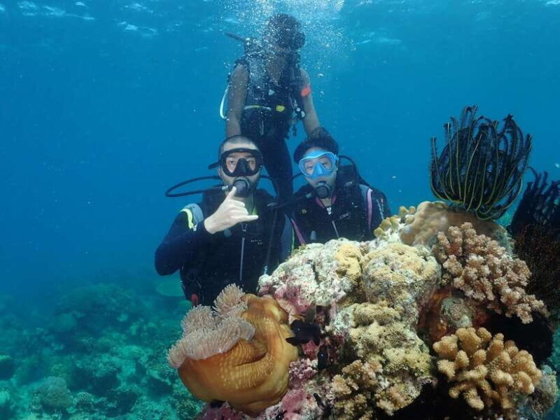 Boracay: Introduction to Scuba Diving Experience - A Close Look at the Experience