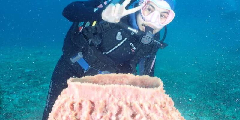 Boracay: Introduction to Scuba Diving Experience - The Sum Up