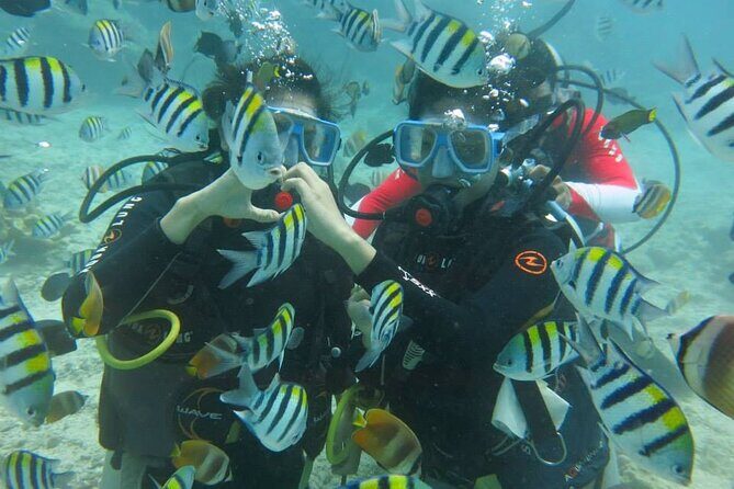 Boracay PADI Discover Scuba Diving - Key Points