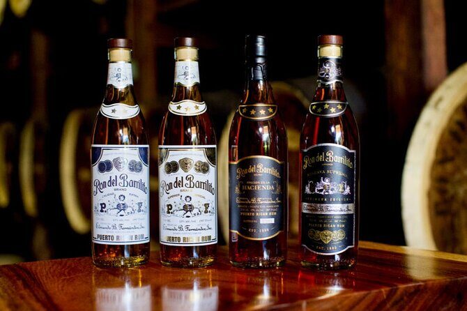 Boriken Flavor: Roast Pork Hwy, Rum Tasting, Loiza Fritters - Logistical Details and Practical Considerations