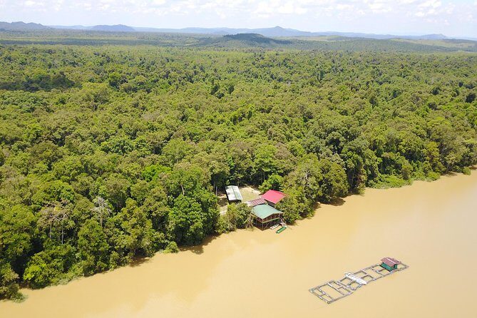 Borneo Wildlife Tour 2 Days 1 Night At Tanjung Bulat Jungle Camp Kinabatangan - Key Points