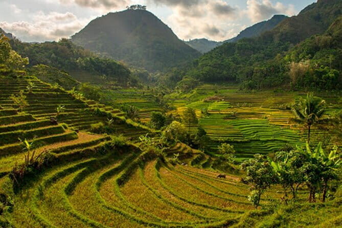Borobudur Climb Up and Selogriyo Temple Rice Terraces Trekking - FAQs