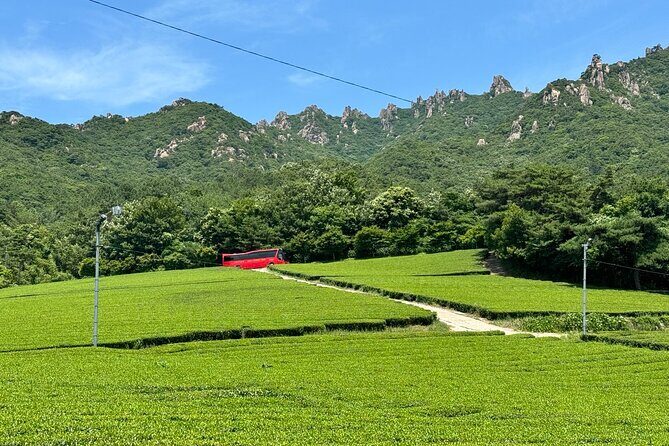 Boseong & Gangjin Green Tea Tour (Private) - Yeongcheon-ri: A Peaceful Lake and Tea Vista