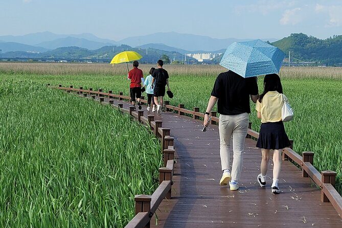 Boseong Tea Plantation & Suncheon National Garden[Train+Bus] - FAQ