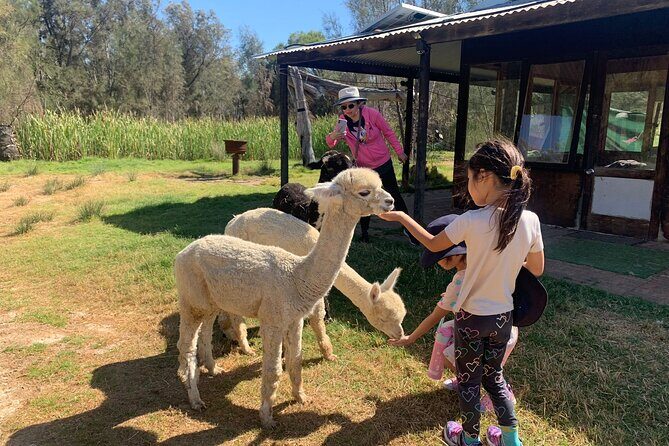 Boshack Farm - Animal, Wildlife, Stargazing Nature Aussie culture - An In-Depth Look at the Boshack Farm Tour