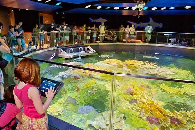 Boston CityPASS® - What Travelers Can Expect from the Boston CityPASS®