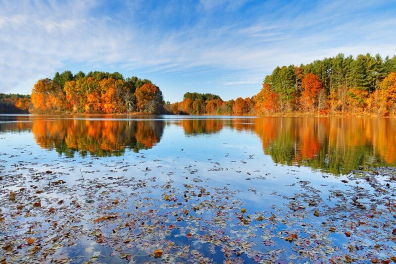 Boston Harbor Fall Foliage Weekend Brunch Cruise - FAQs