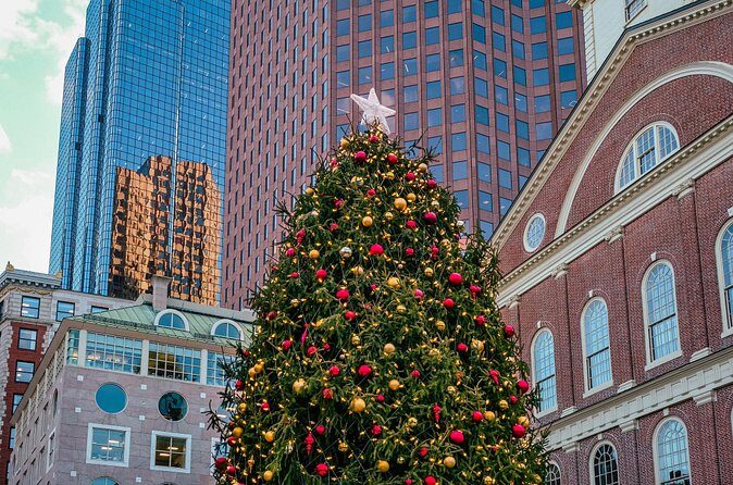 Boston Holiday Donut Adventure by Underground Donut Tour - The Sum Up: Who Will Love This Tour?