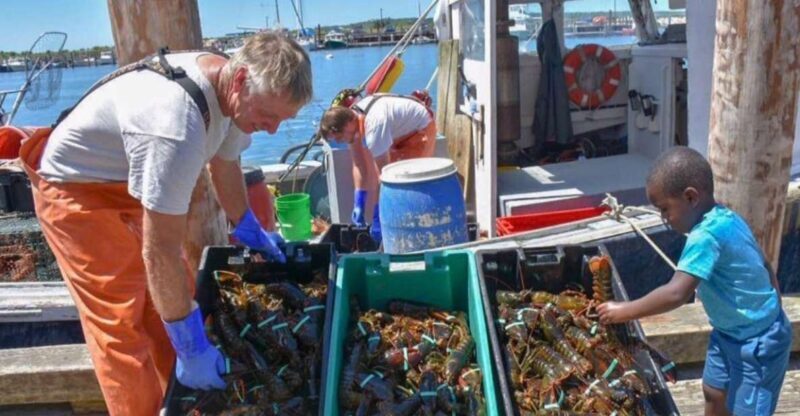 Boston: Kennebunkport Day Trip with Optional Lobster Tour - Who Will Enjoy This Experience?