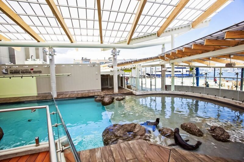 Boston: New England Aquarium Entry + Optional Simons Theatre - Who This Tour Is Perfect For