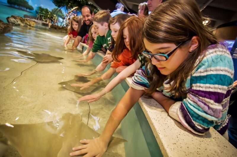Boston: New England Aquarium Entry + Optional Simons Theatre - Final Thoughts: Is This Tour Right for You?