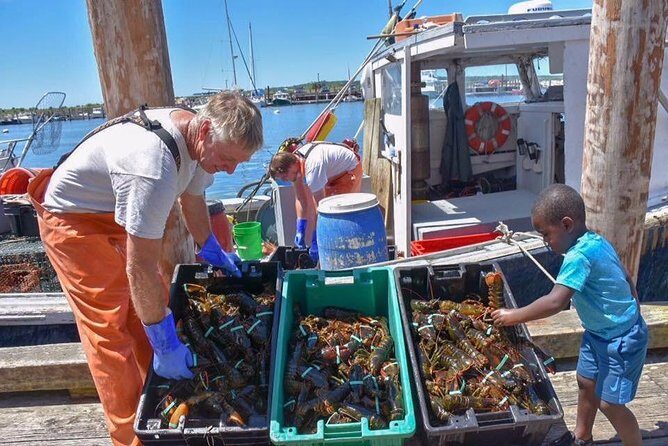 Boston to Kennebunkport with Optional Lobster Tour - Key Points