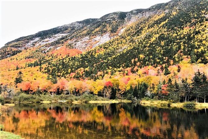 Boston to New Hampshire Fall Foliage White Mountains Day Trip - An In-Depth Look at the Tour Itinerary and Experience