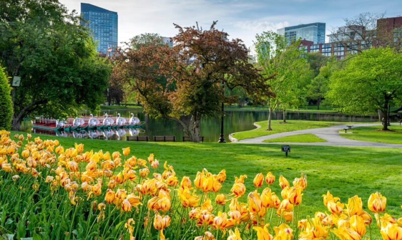 Boston: Votes for Women History Tour of Back Bay - A Walk Through Boston’s Feminist Past with Style and Substance