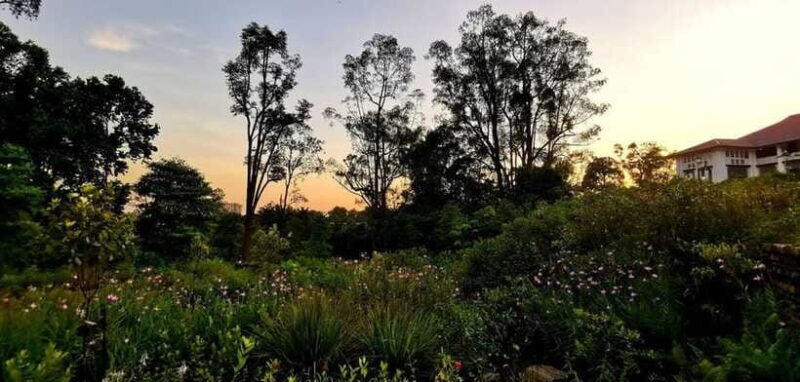 Botanic Gardens & Tiong Bahru Walking Tour with Breakfast - Practical Details and Experience