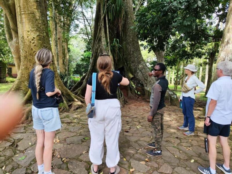 Boti Falls, Aburi Gardens, and Asenema Waterfalls - Key Points