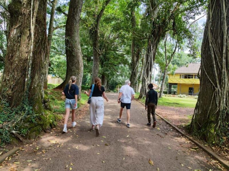 Boti Falls, Aburi Gardens, and Asenema Waterfalls - A Closer Look at the Experience
