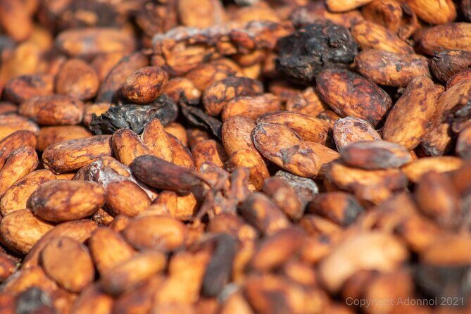 Boti Falls, Umbrella Rock, Aburi Gardens & Cocoa Farm Day Tour - Key Points