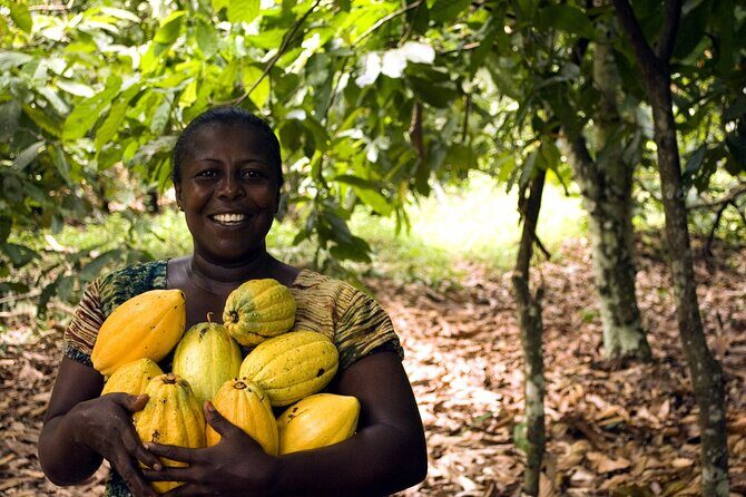 Boti Falls, Umbrella Rock, Aburi Gardens & Cocoa Farm Day Tour - Transportation and Logistics