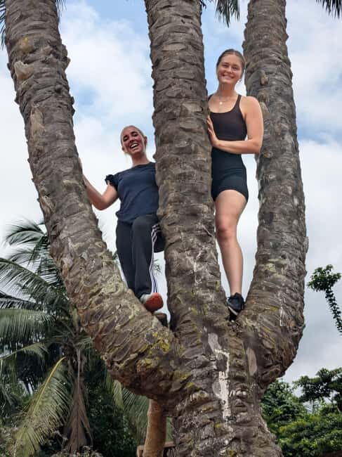 Boti Falls, Umbrella Rock, Aburi Gardens & Cocoa Farm Tour - An In-Depth Look at Your Ghanaian Adventure