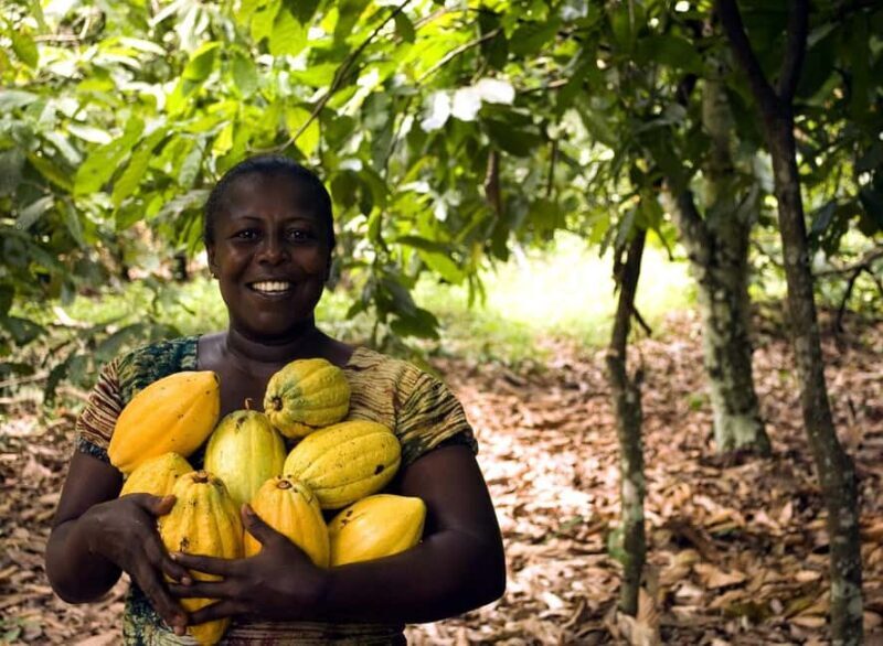Boti Falls, Umbrella Rock, Aburi Gardens & Cocoa Farm Tour - FAQs About the Boti Falls, Umbrella Rock, Aburi Gardens & Cocoa Farm Tour