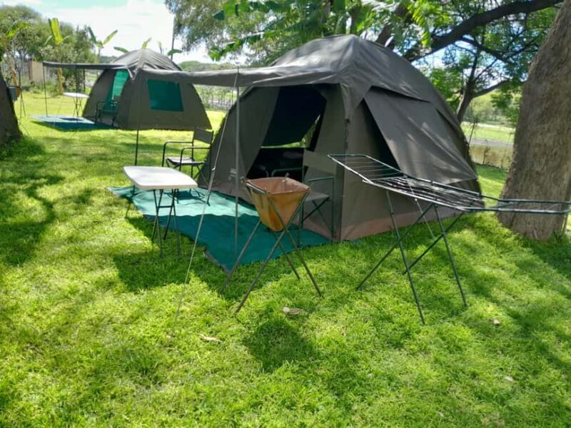 Botswana: explore the renowned okavango delta with us - Exploring Botswana’s Okavango Delta: A Practical & Authentic Guide
