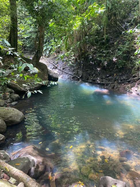 Bouillante Tour: Discover the city of hot water - Exploring Bouillante: An Authentic 2-Hour Journey