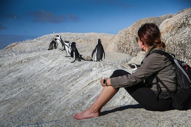 Boulders Beach Cape Town: Swimming With Penguin & Close Encounter Half Day Tour - Up Close with Africa’s Beloved Penguins