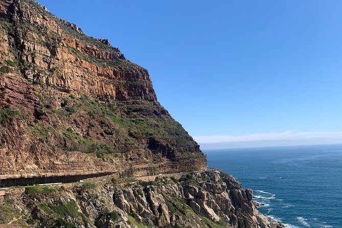 Boulders Beach Penguins and Seal Island Boat Trip Half Day Tour - An Introduction to the Experience