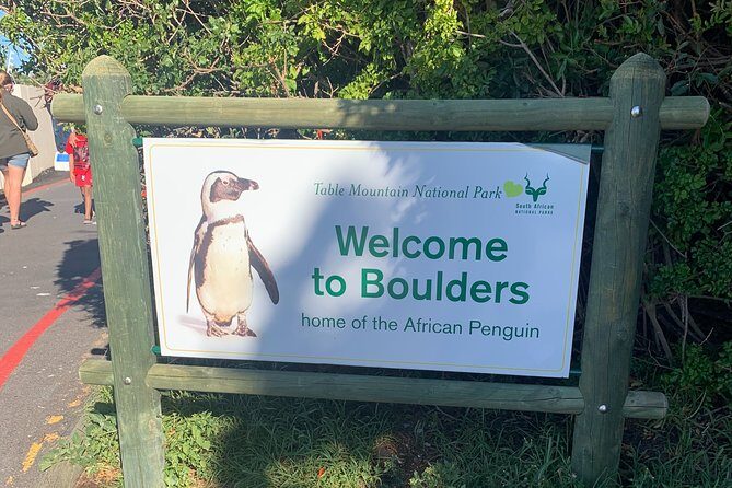 Boulders Beach Penguins and Seal Island Boat Trip Half Day Tour - Final Thoughts