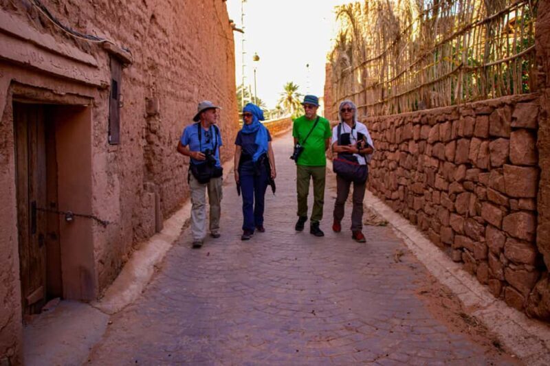 Boussemghoun Palace Guided Tour with Snacks - Who Would Love This Tour