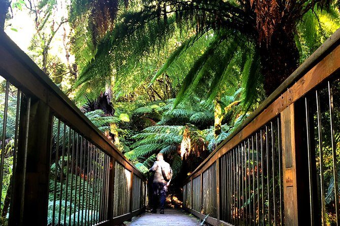 Boutique Great Ocean Road, wildlife and Rainforest Experience - FAQ