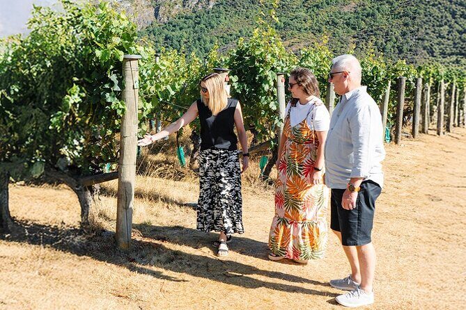 Boutique Wine Tour - visit Central Otago, 4 Wineries & Lunch - Who Will Love This Tour?